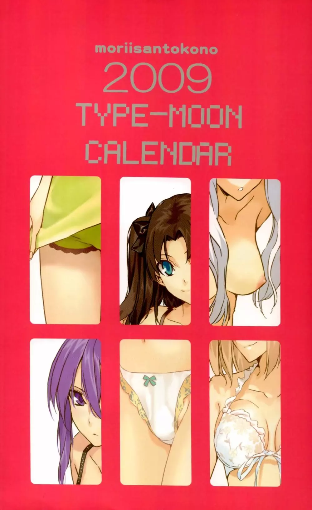 森井さんとこの2009TYPE-MOONCALENDAR 1ページ