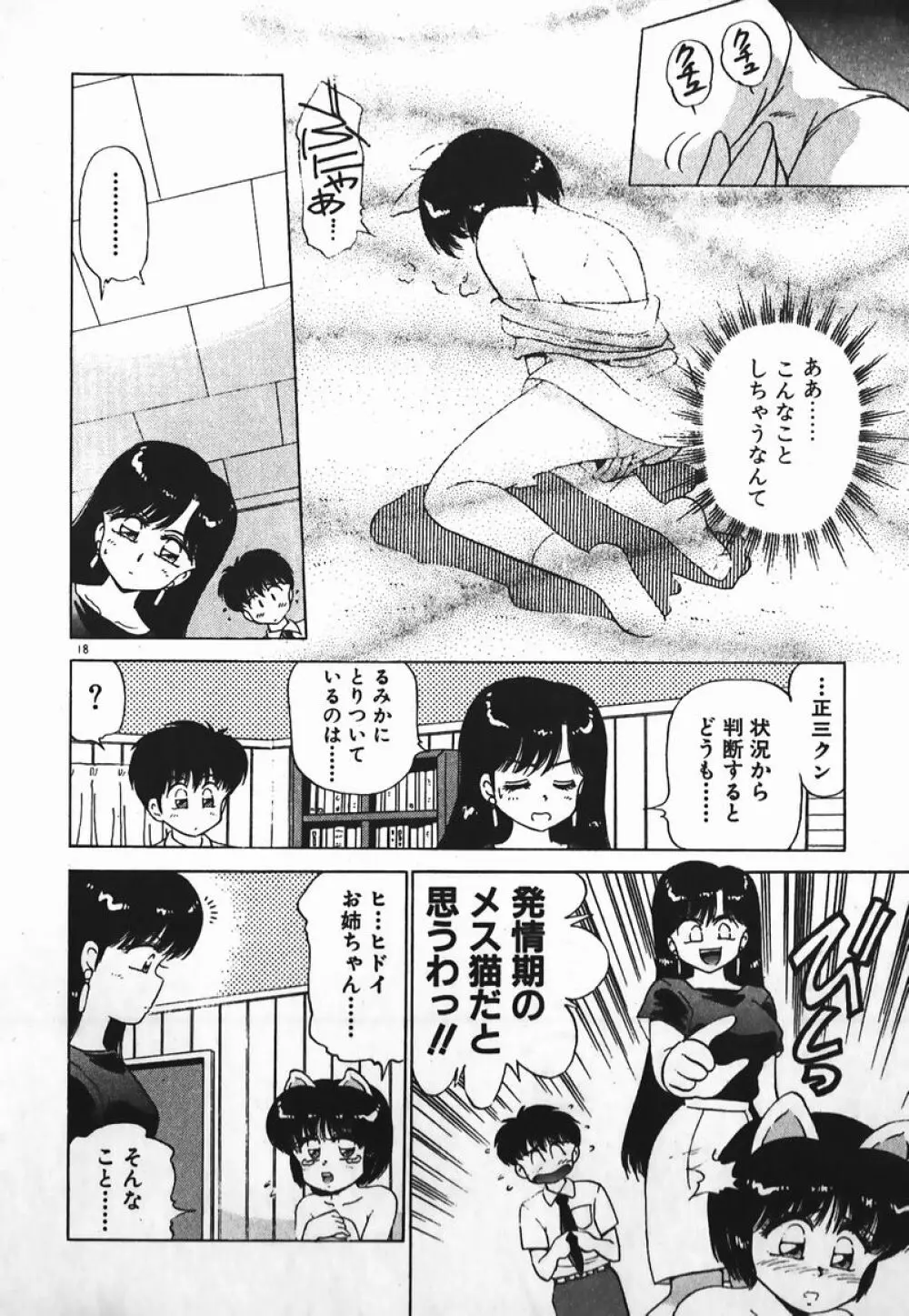 ドッキン美少女SOS! 17ページ