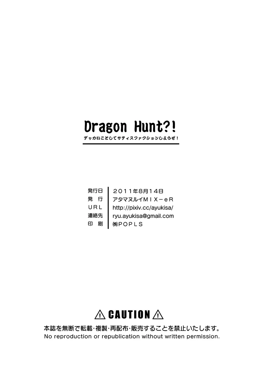 Dragon Hunt?! 18ページ