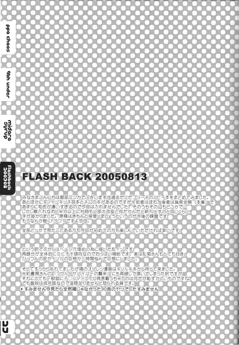 FLASH BACK 20050813 24ページ