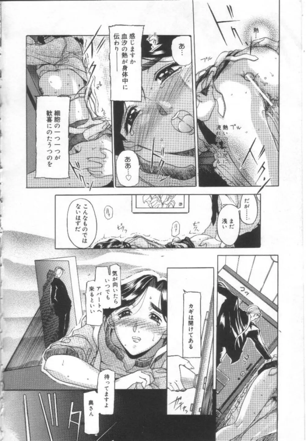 夢幻画境 43ページ