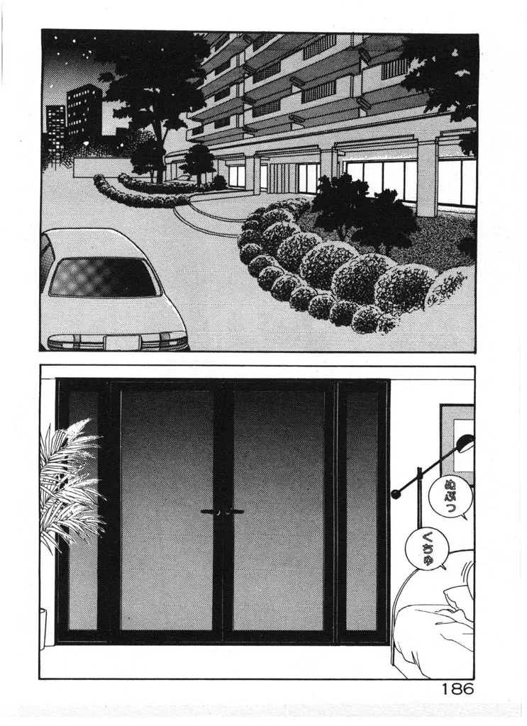 いきなりハーレムナイト 186ページ