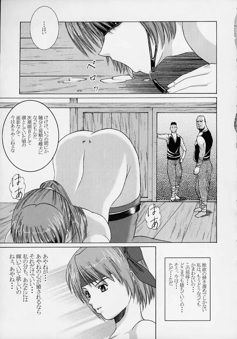 Kasumi Rengokugyou {Dead or Alive} 18ページ