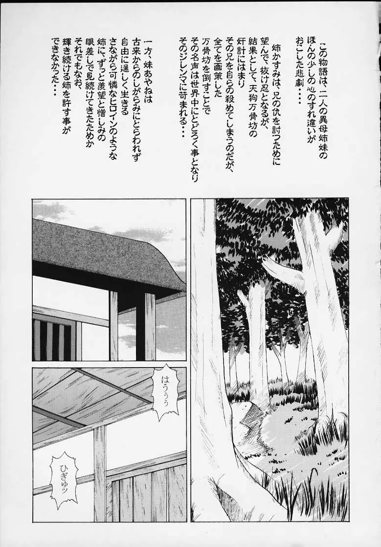Kasumi Rengokugyou {Dead or Alive} 2ページ