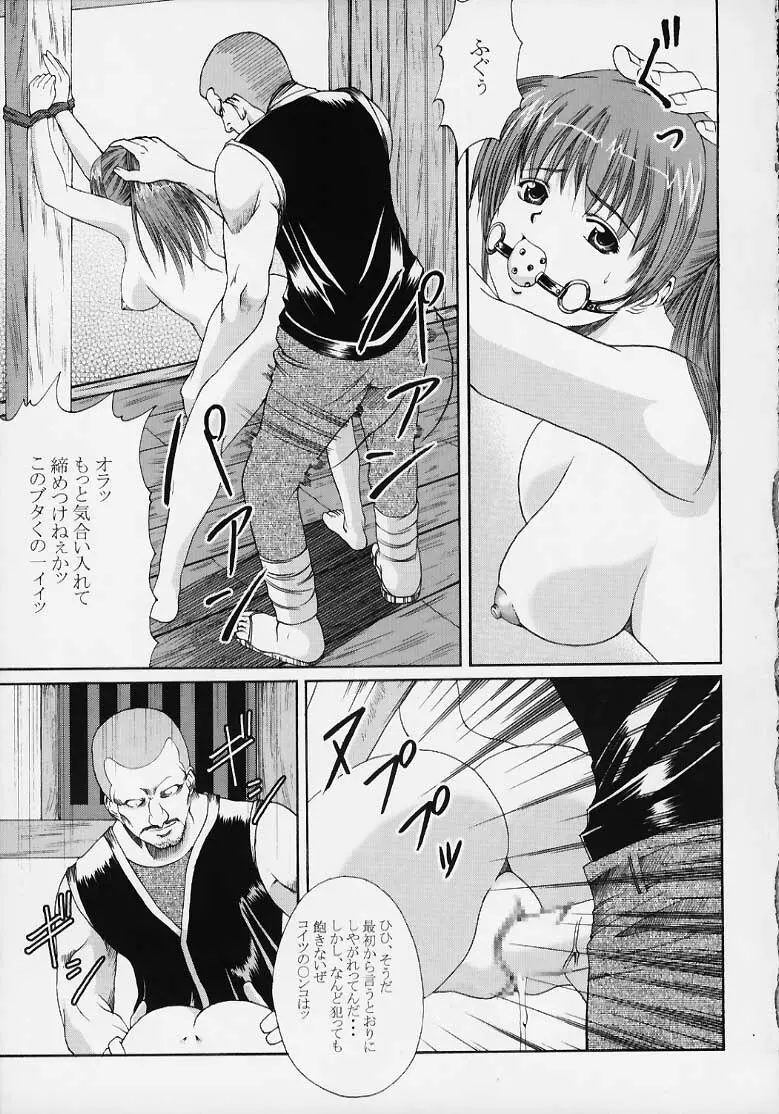 Kasumi Rengokugyou {Dead or Alive} 4ページ