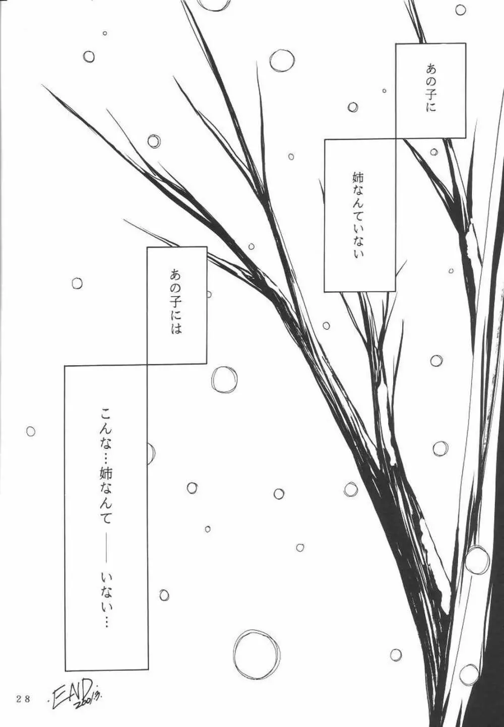 KANONIZUMU・Ⅸ かのにずむ・IX 27ページ