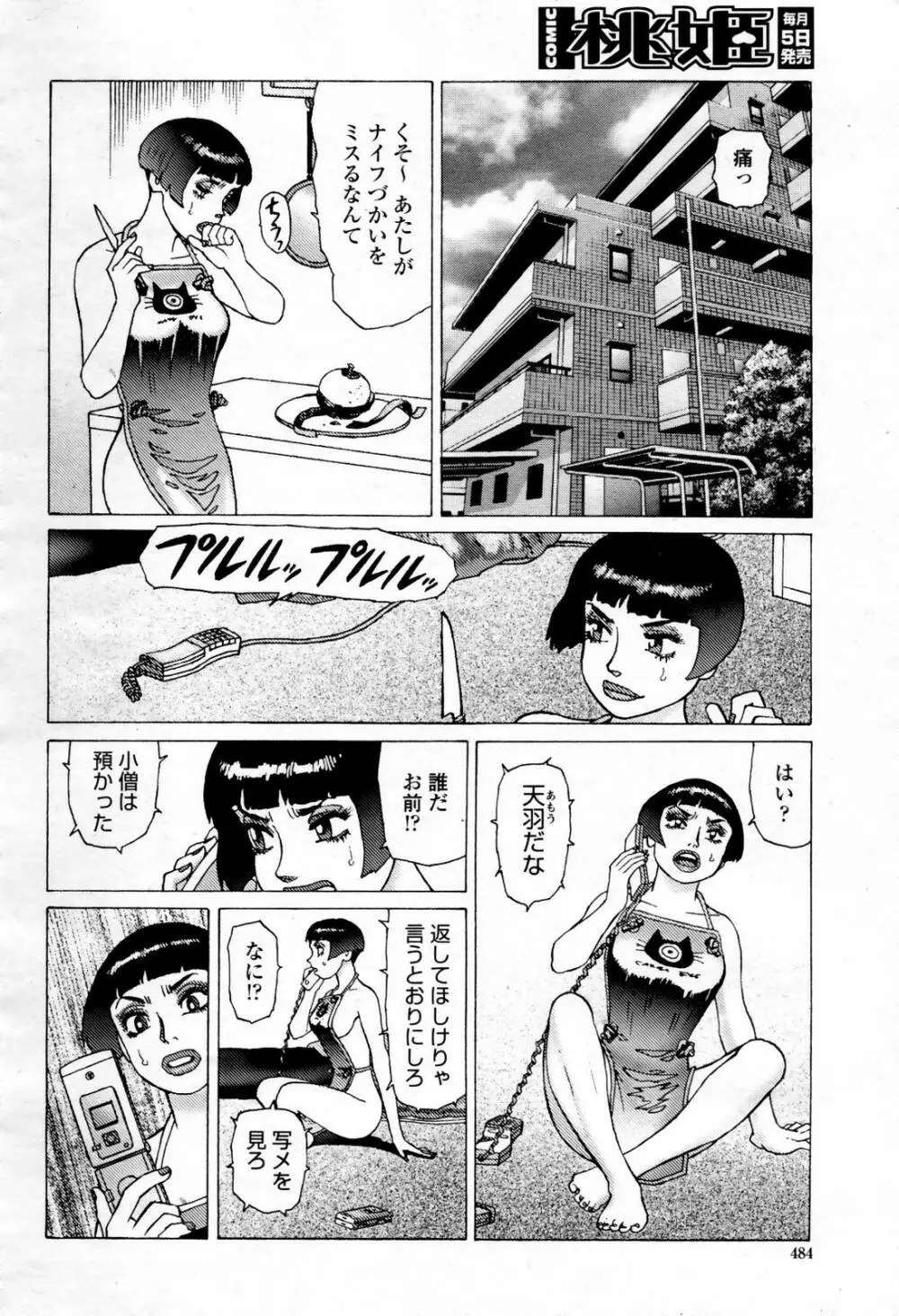 COMIC 桃姫 2007年07月号 484ページ