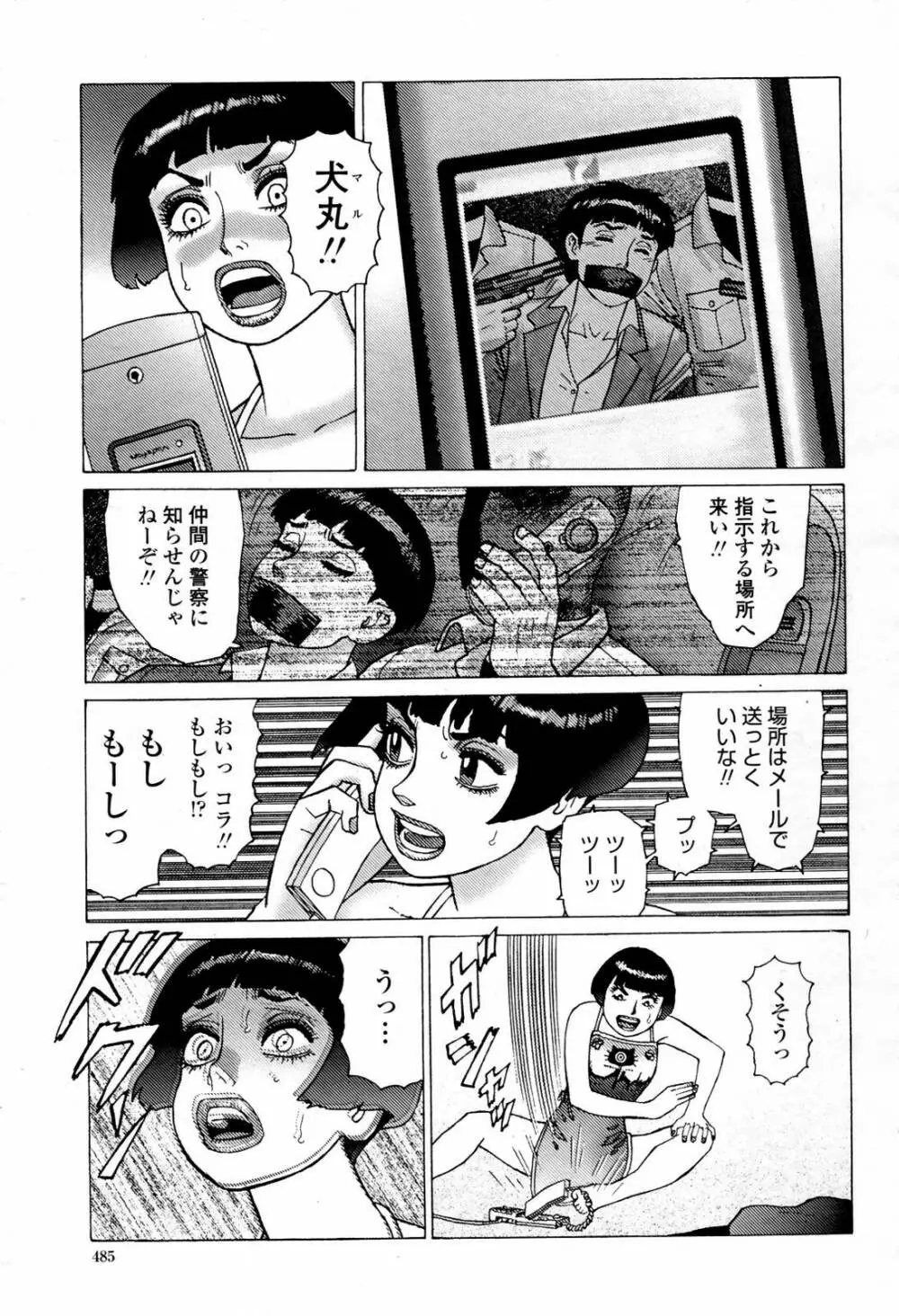 COMIC 桃姫 2007年07月号 485ページ