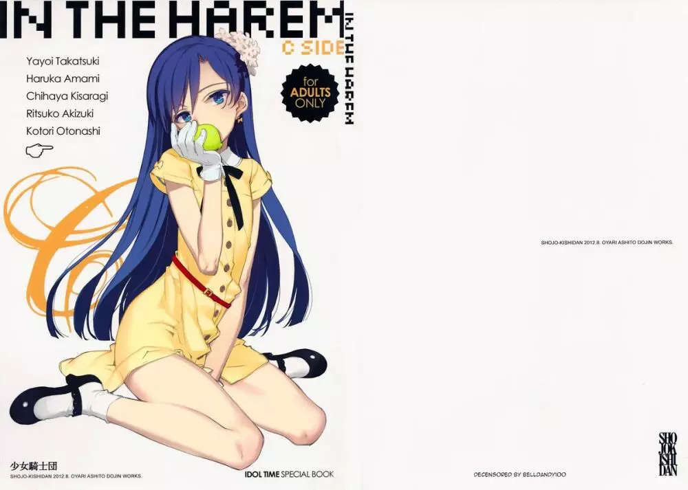 IN THE HAREM C SIDE 1ページ