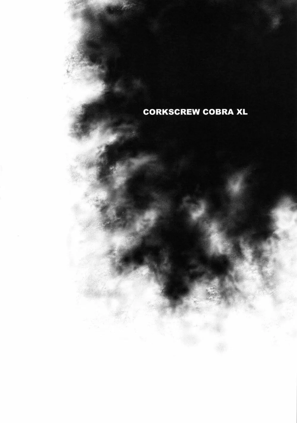 CORKSCREW COBRA XL 4ページ