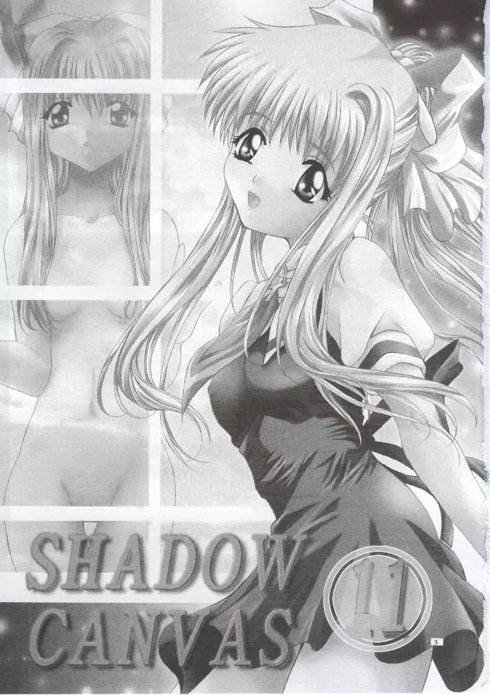 SHADOW CANVAS 11 2ページ