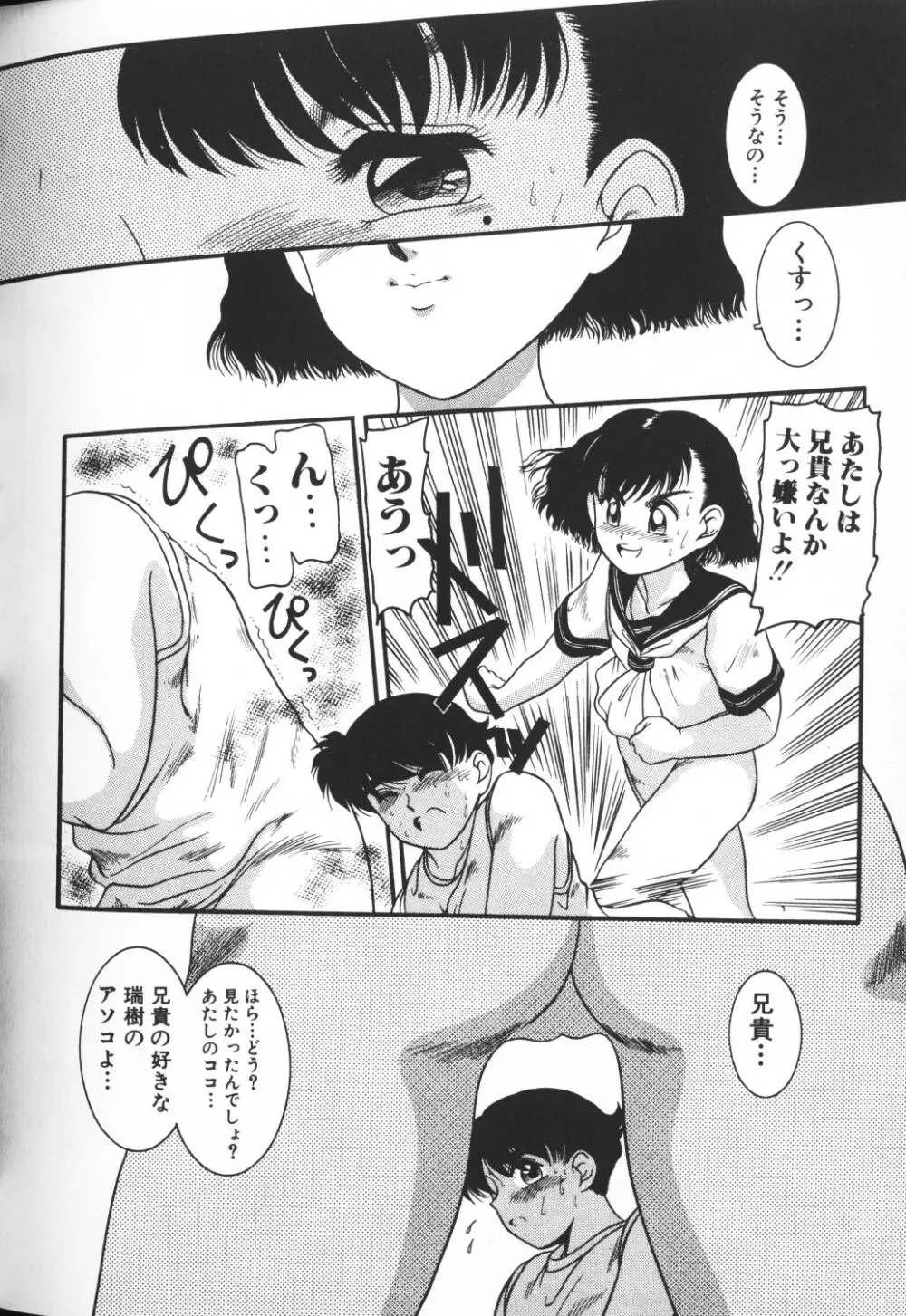 秘密の地下室 Vol.2 66ページ