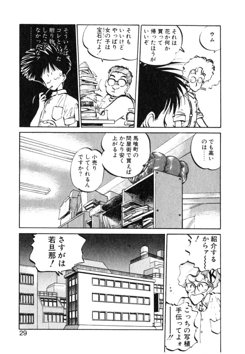 ひろみちゃん奮戦記 ４ 愛蔵版 29ページ