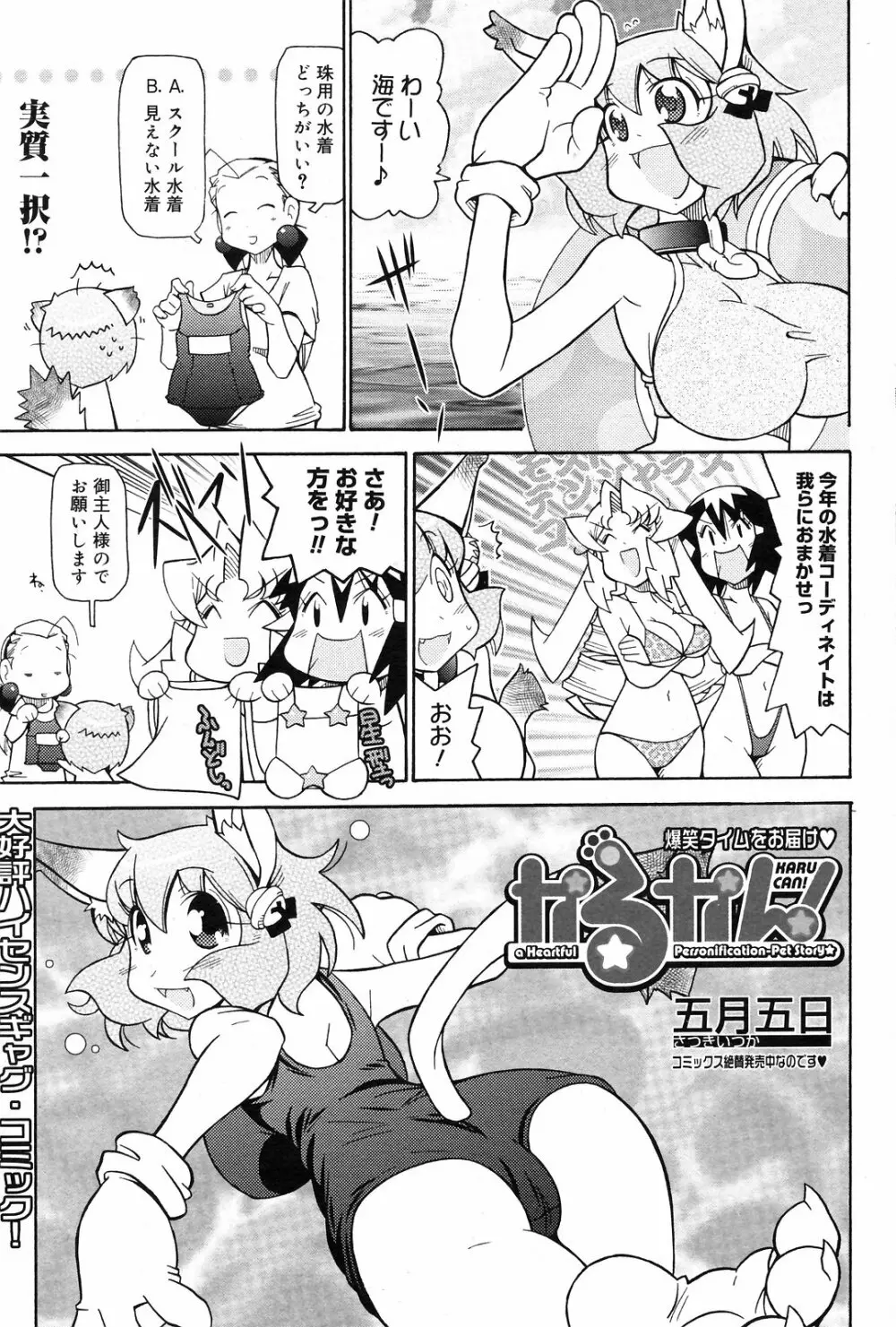 Manga Bangaichi 2008-09 177ページ