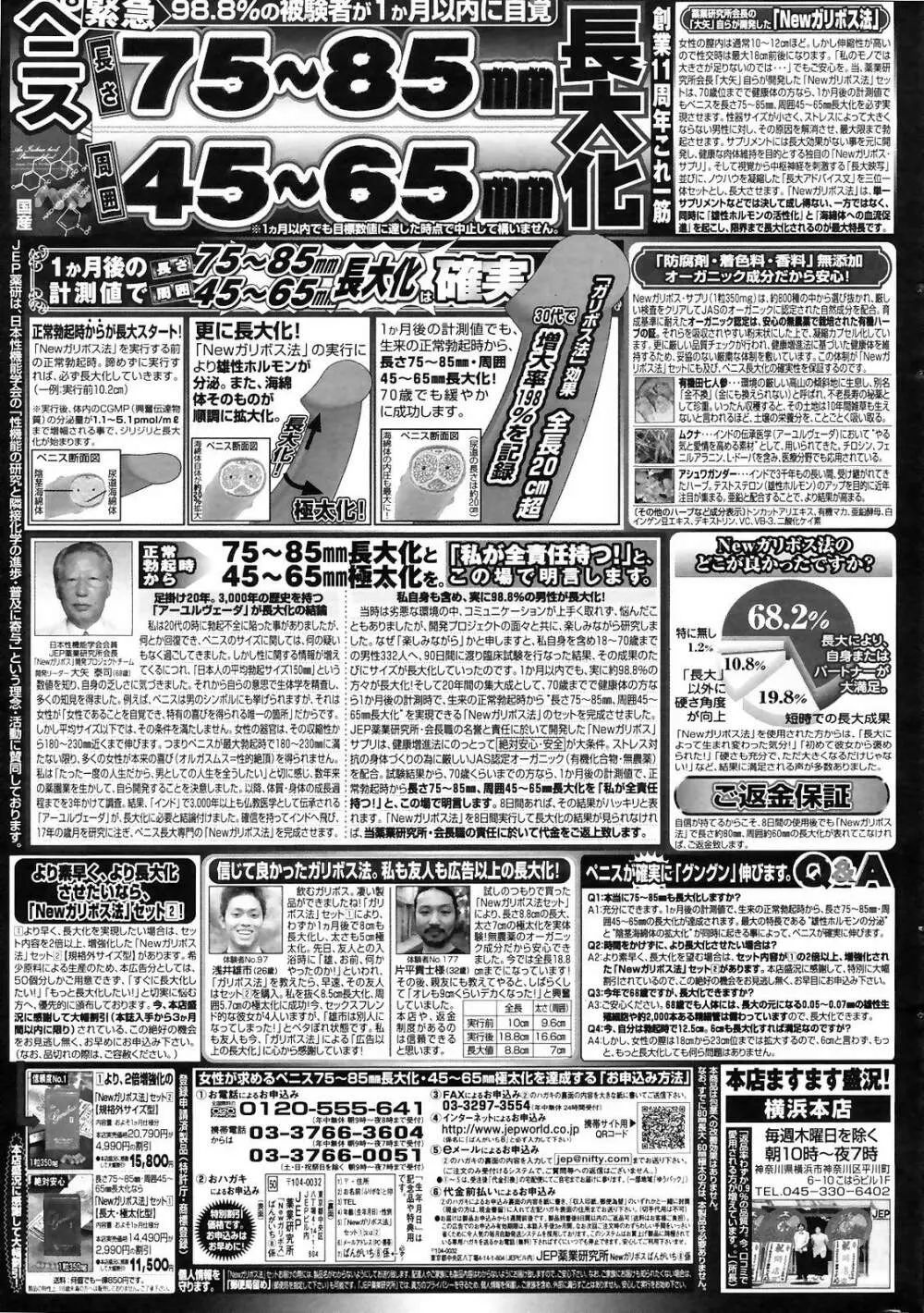 Manga Bangaichi 2008-12 251ページ