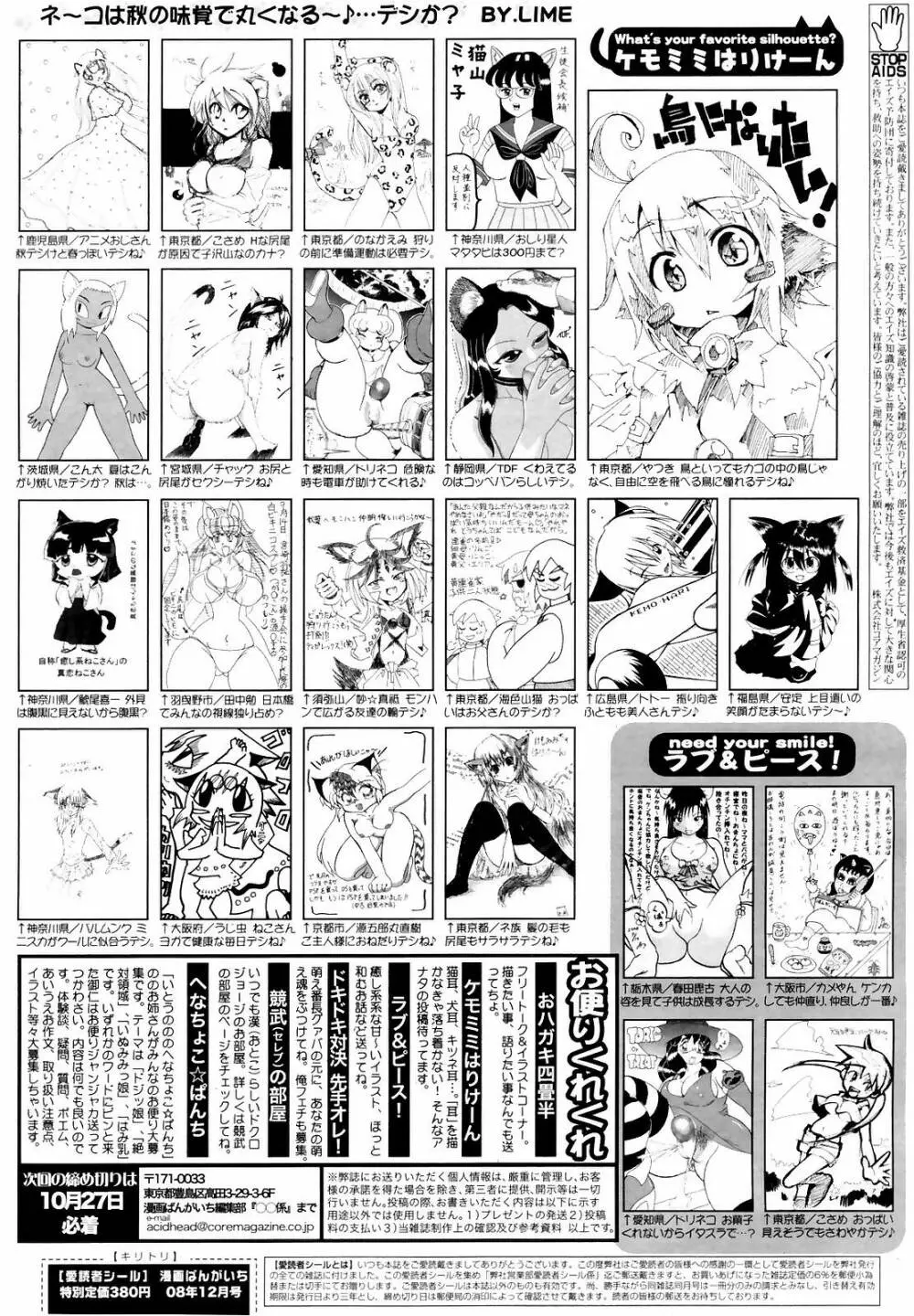 Manga Bangaichi 2008-12 262ページ