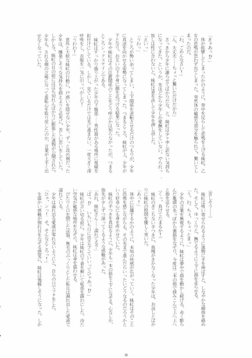 藤原妹紅を愛し隊 29ページ