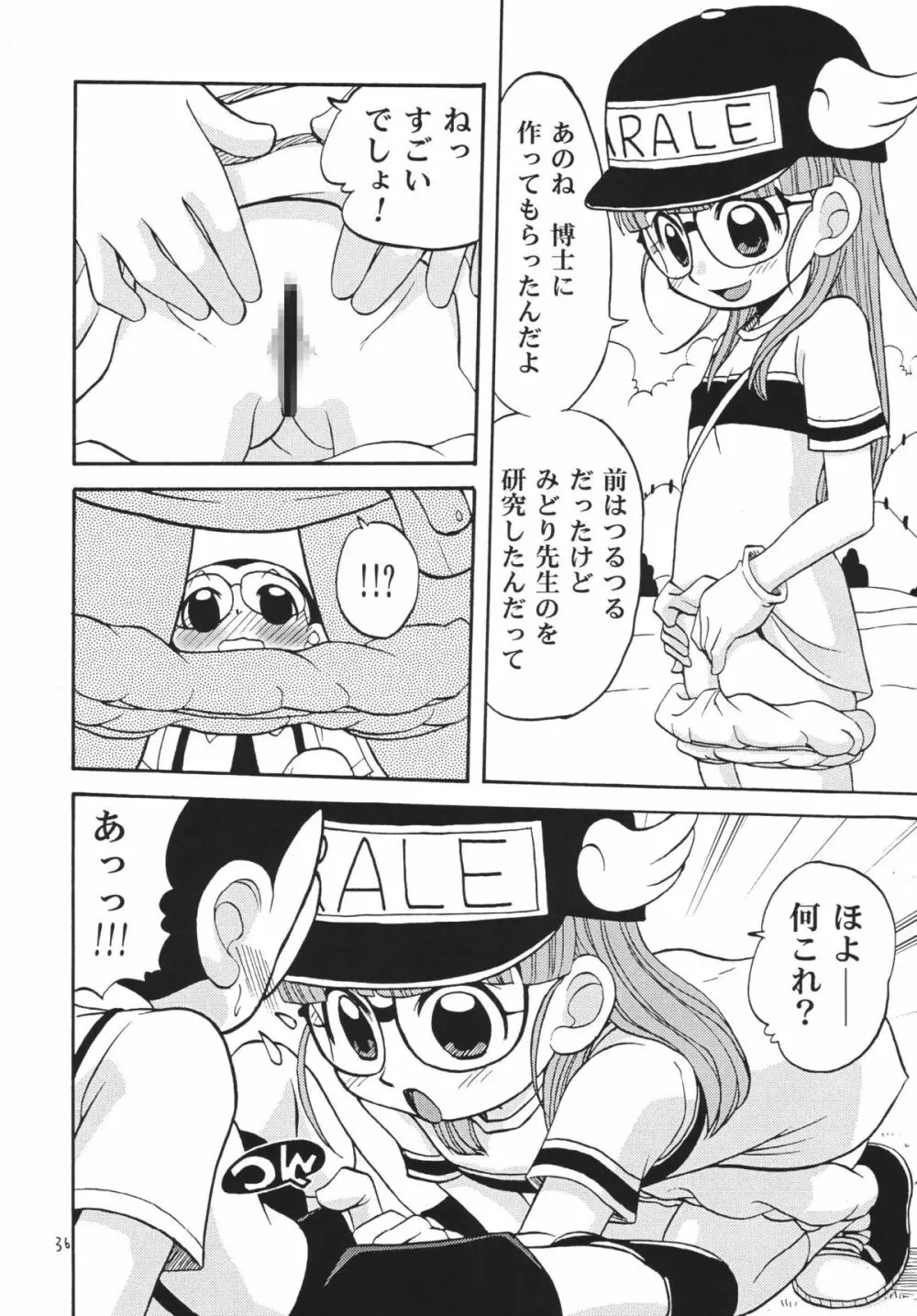 PROJECT ARALE 35ページ