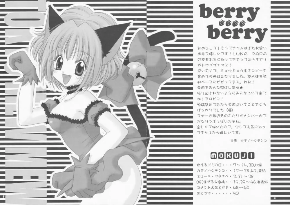 berry berry 4ページ