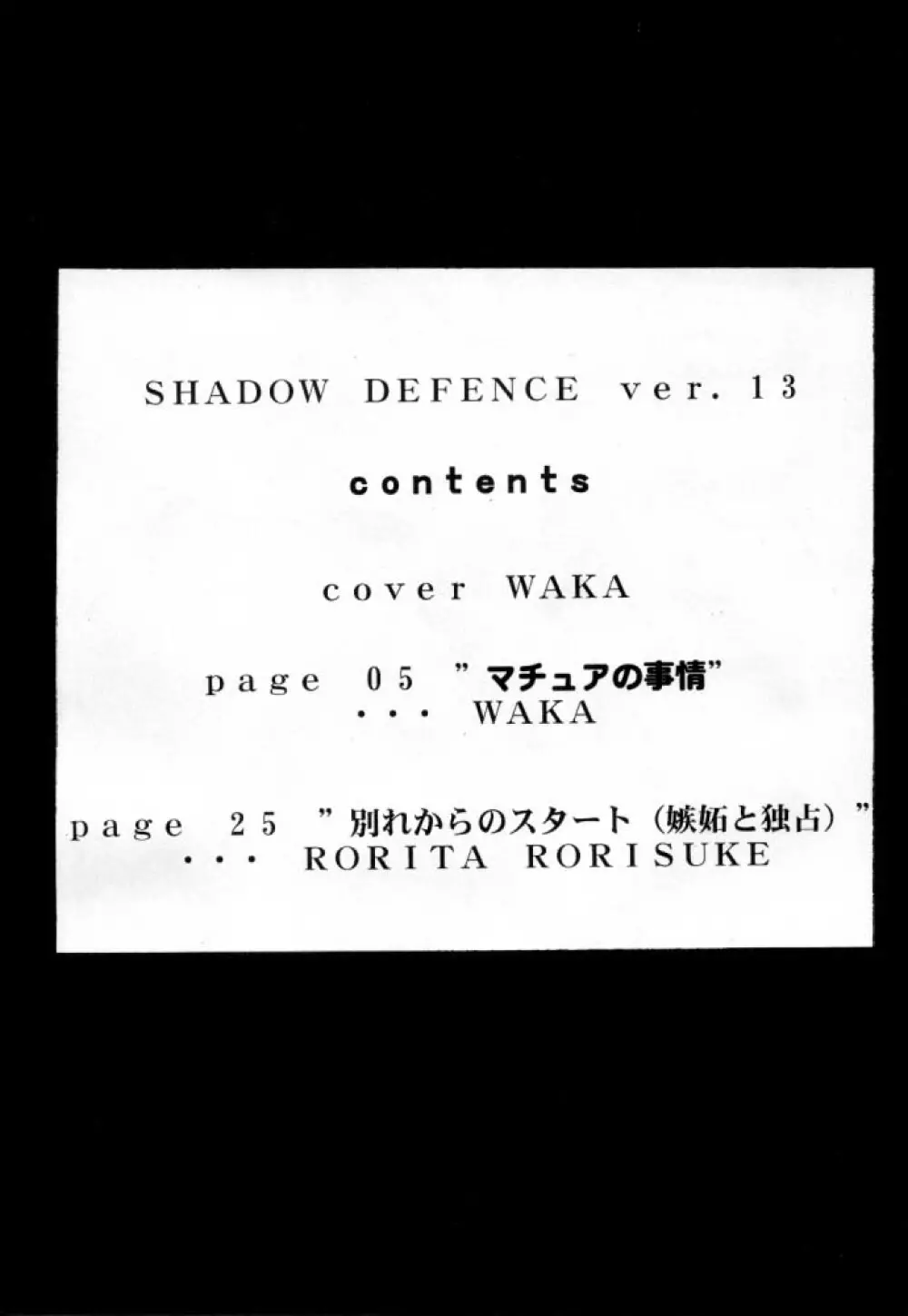 Shadow Defense 13 3ページ