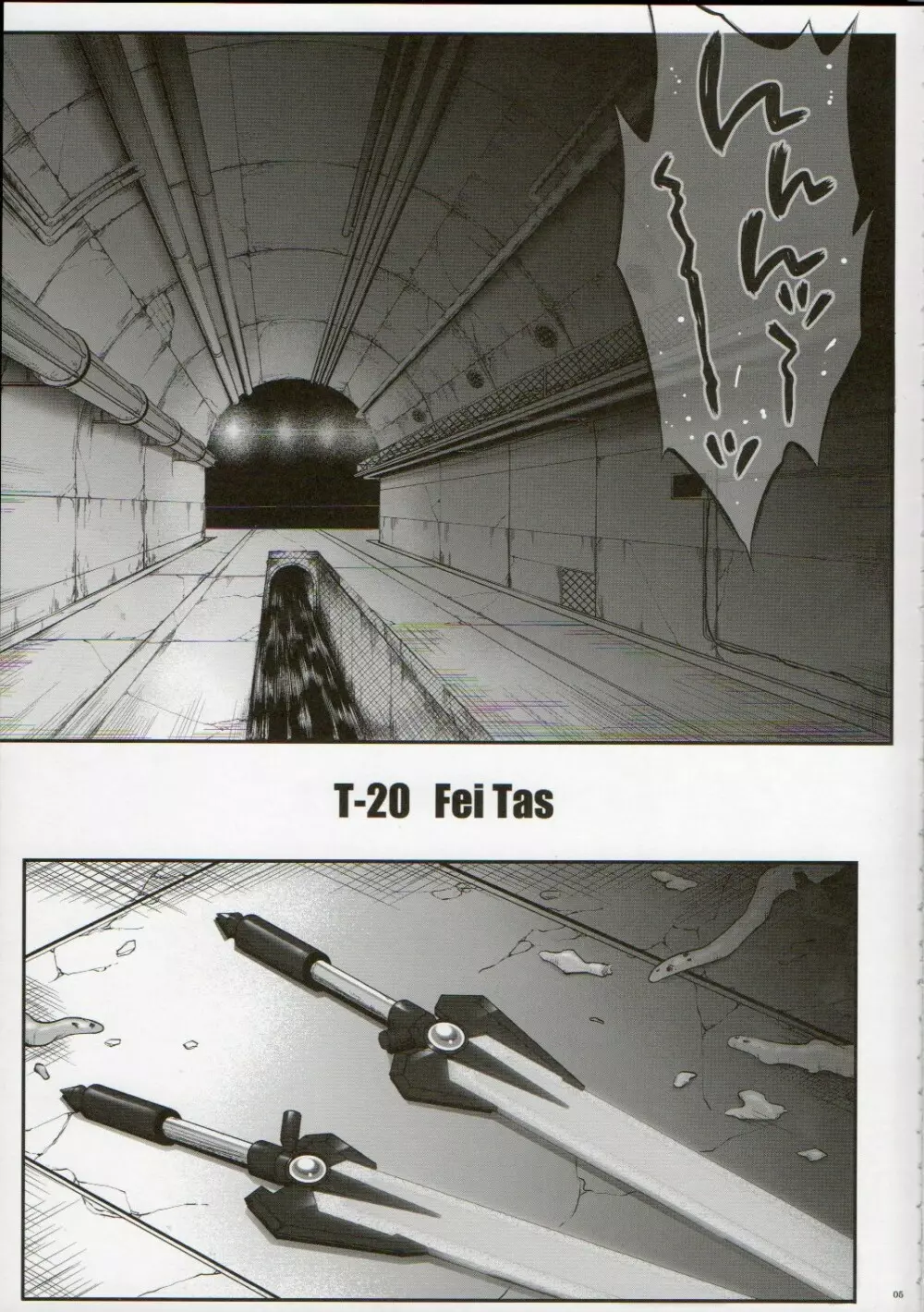 T-20 Fei Tas 4ページ