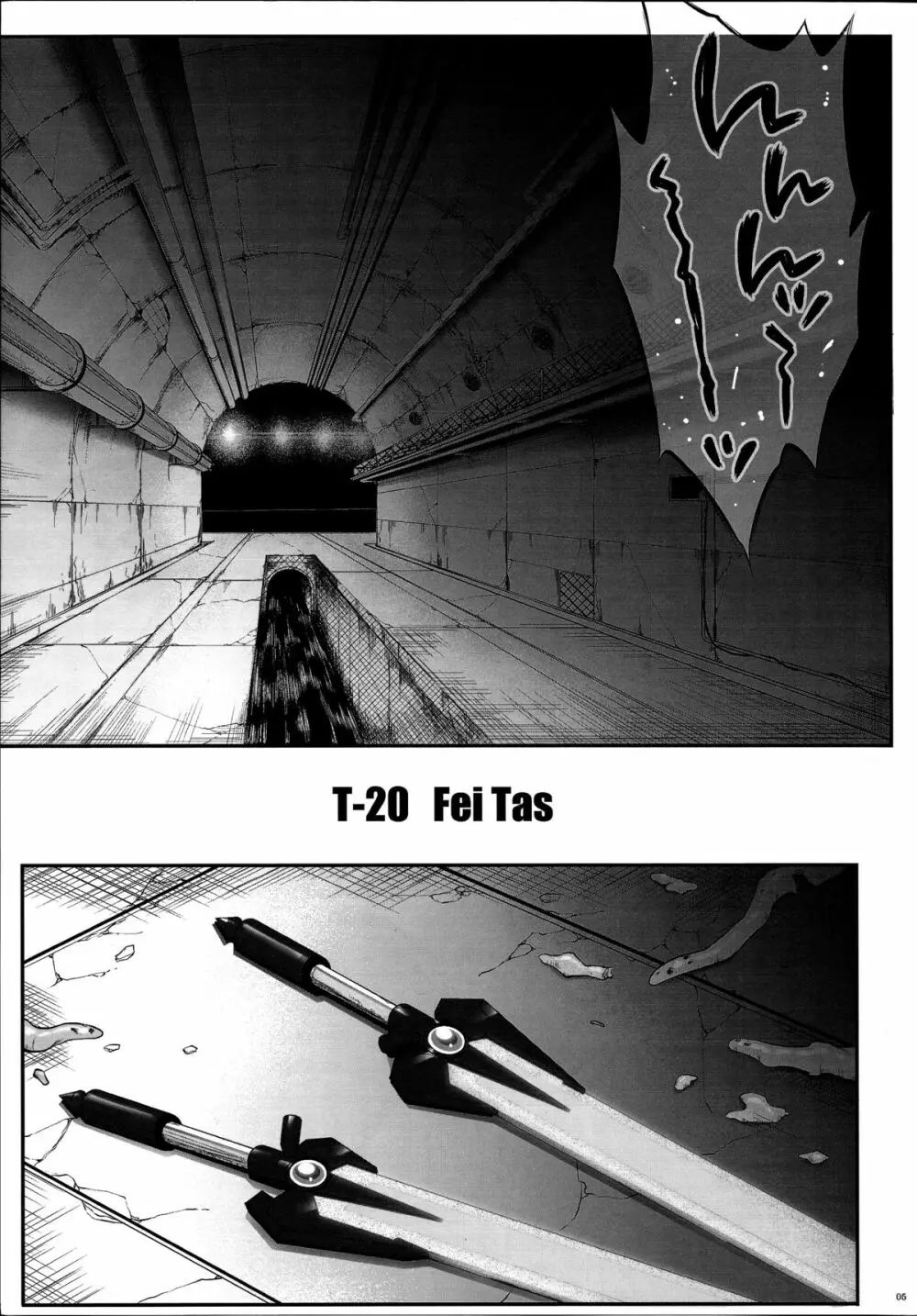 T-20 Fei Tas 4ページ
