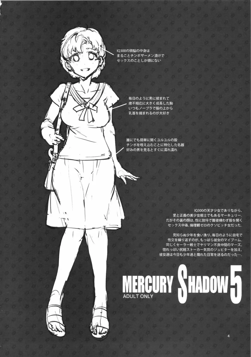 MERCURY SHADOW5 3ページ