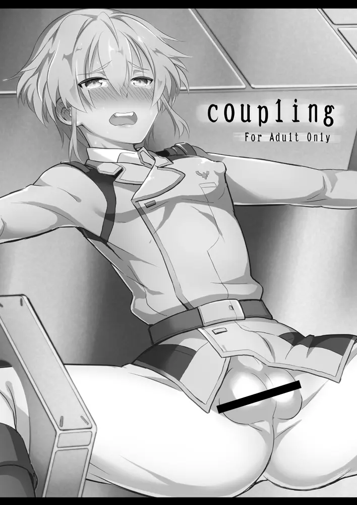 coupling 2ページ