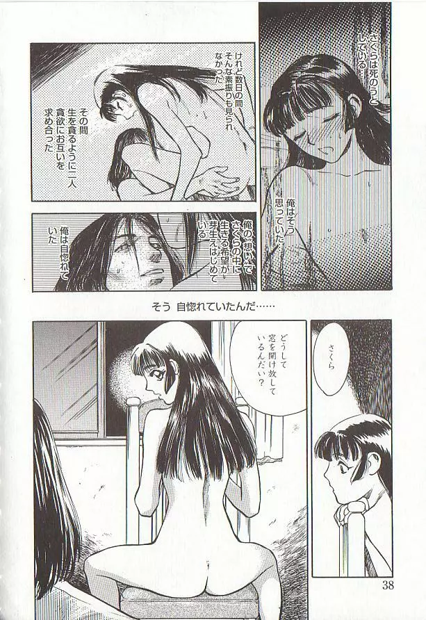 桜色の肖像 Night Gallery I 38ページ