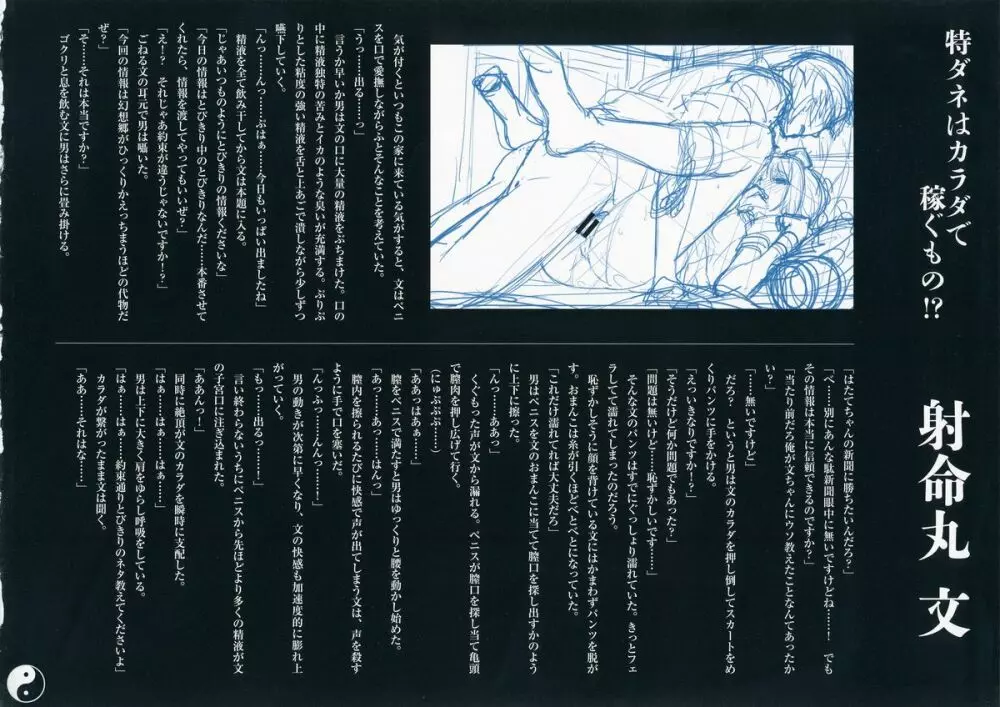 幻想郷淫行記録集 11ページ