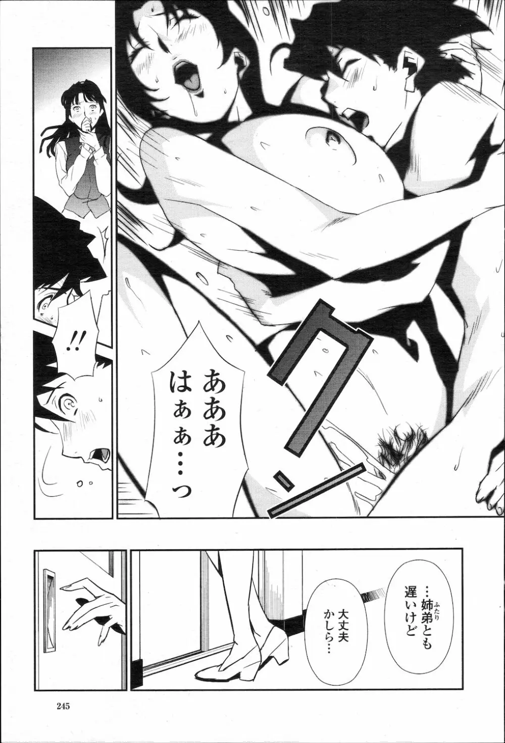 COMIC 桃姫 2010年1月号 248ページ