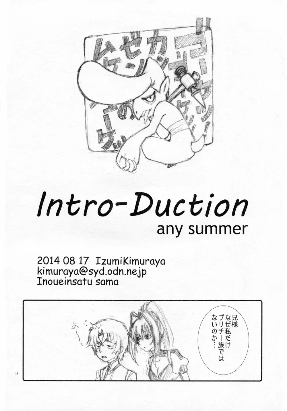 Intro-Duction any summer 18ページ