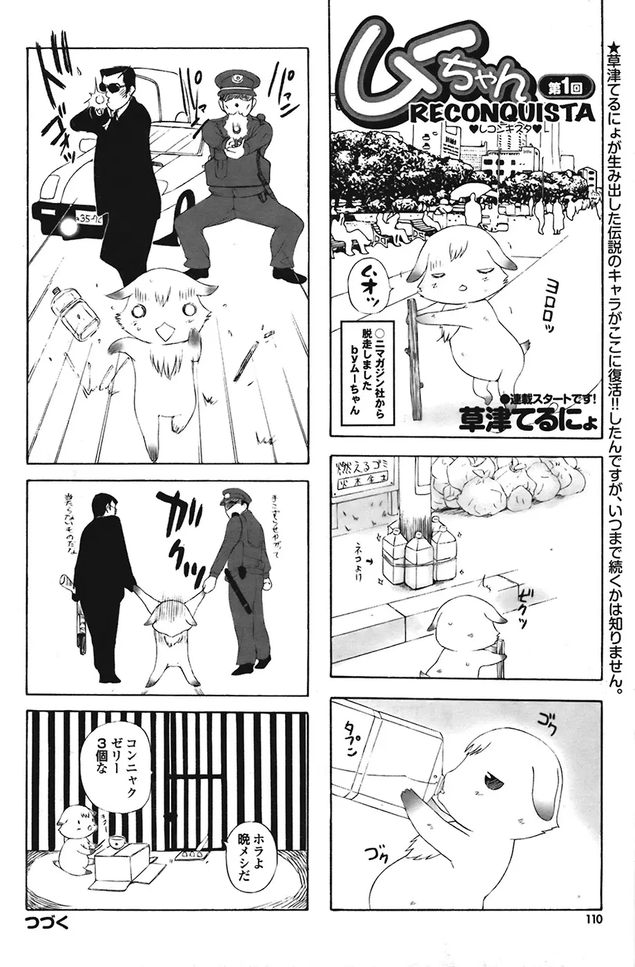 COMIC プルメロ 2009年1月号 vol.25 110ページ