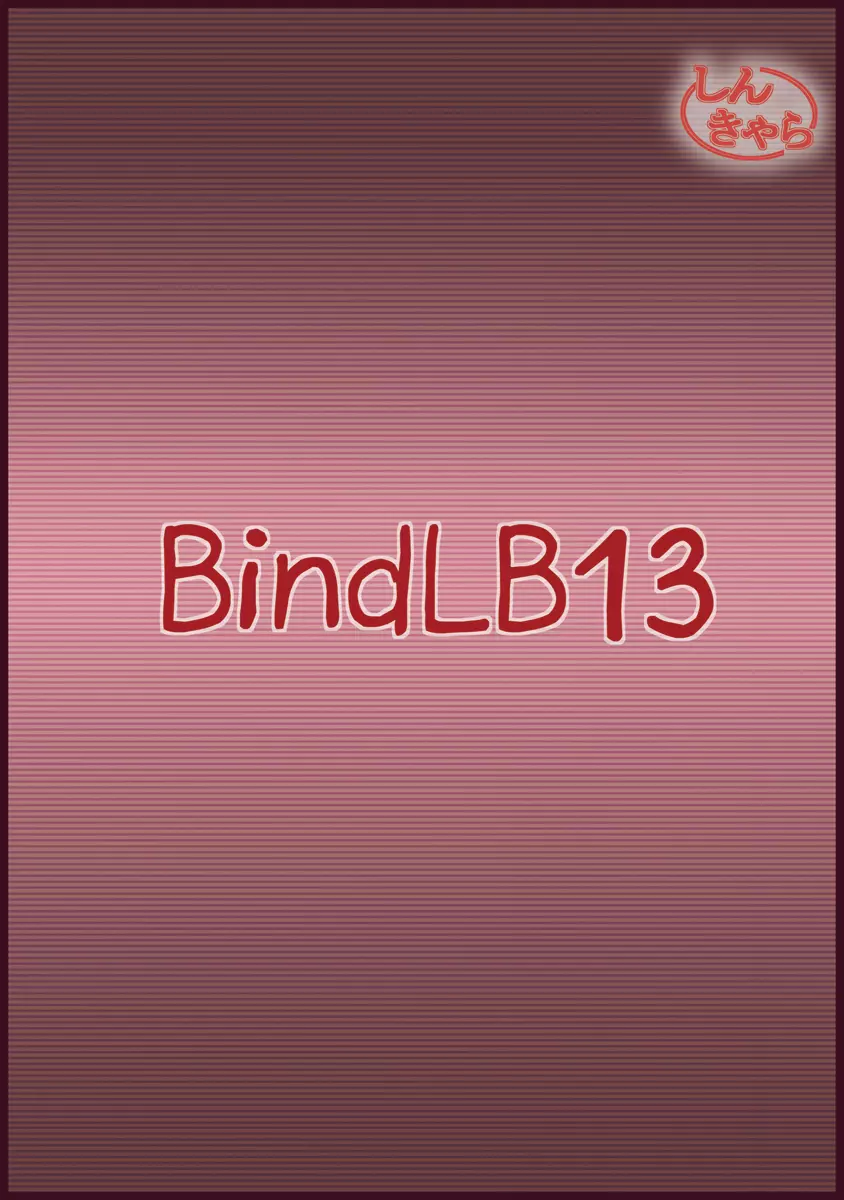 BindLB13 30ページ