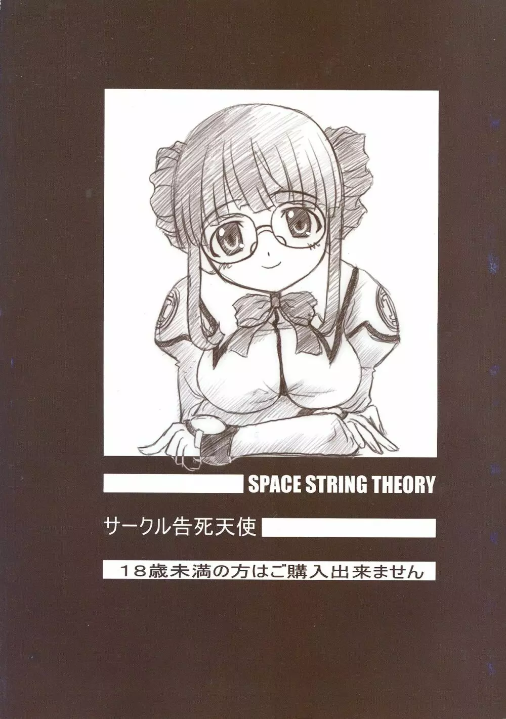SPACE STRING THEORY 2ページ