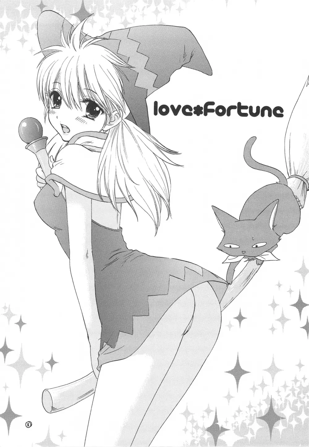 LOVE FORTUNE 2ページ