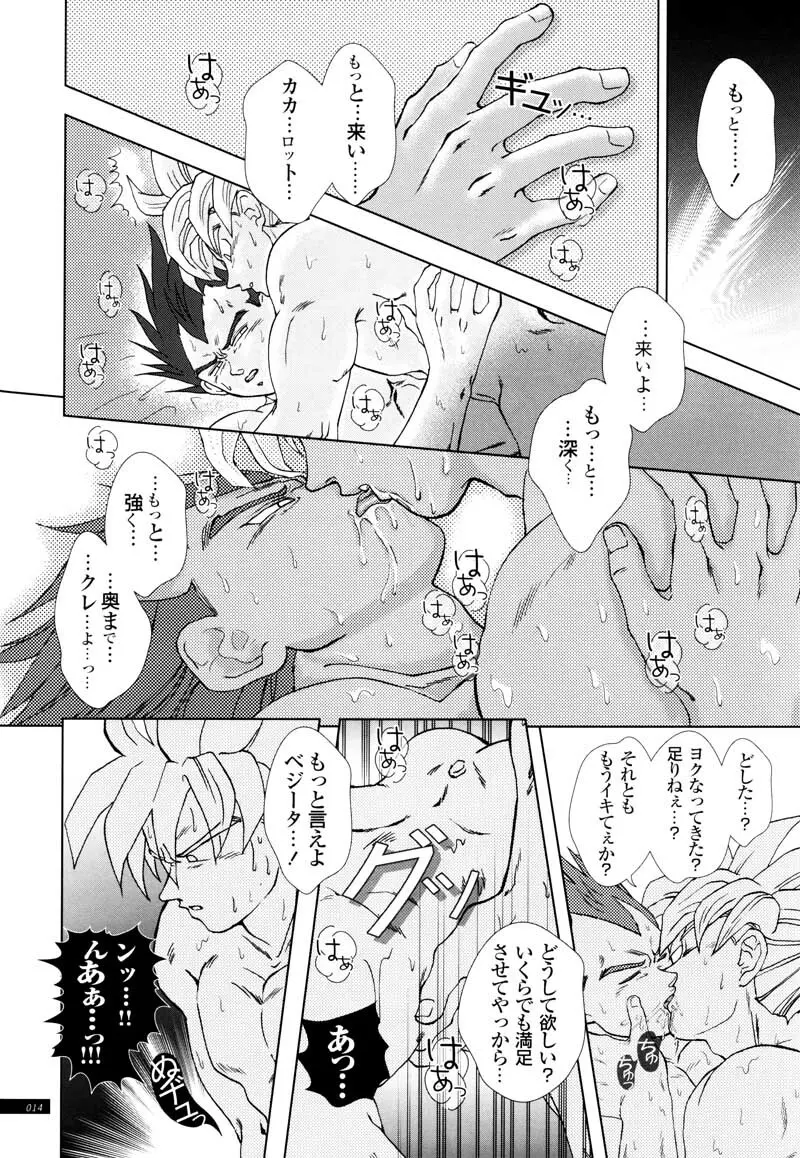 Sairokua 12ページ