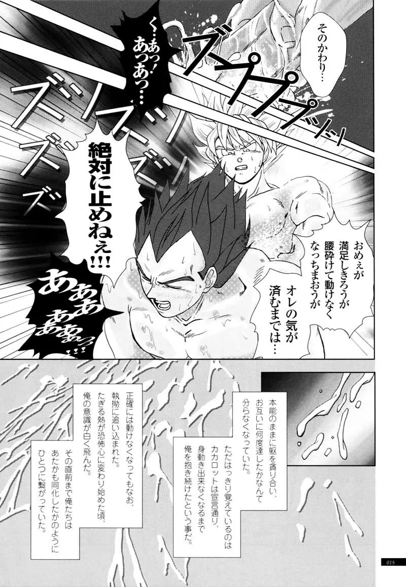 Sairokua 13ページ