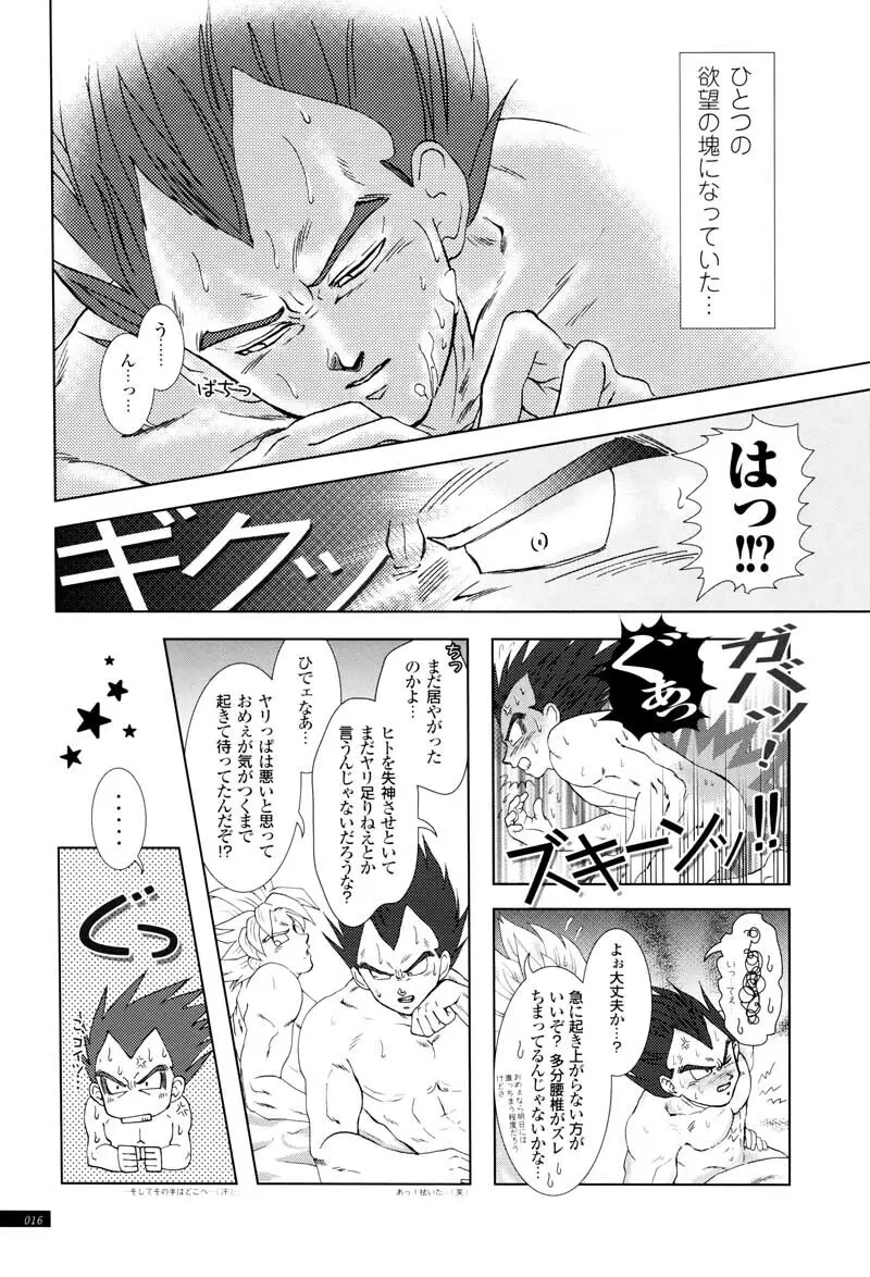 Sairokua 14ページ