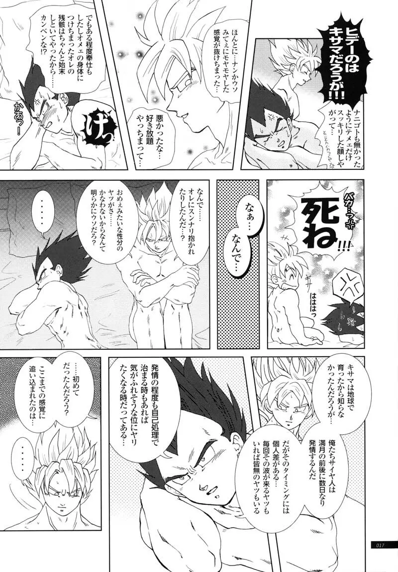 Sairokua 15ページ