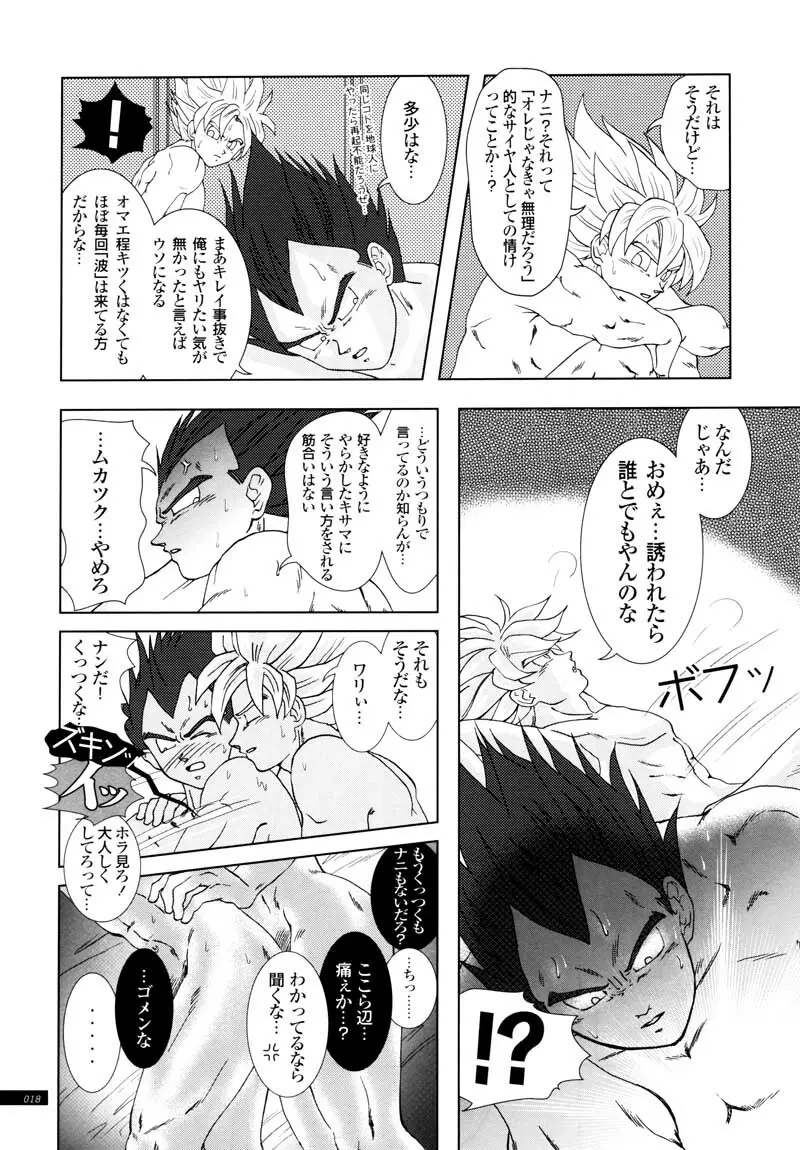 Sairokua 16ページ