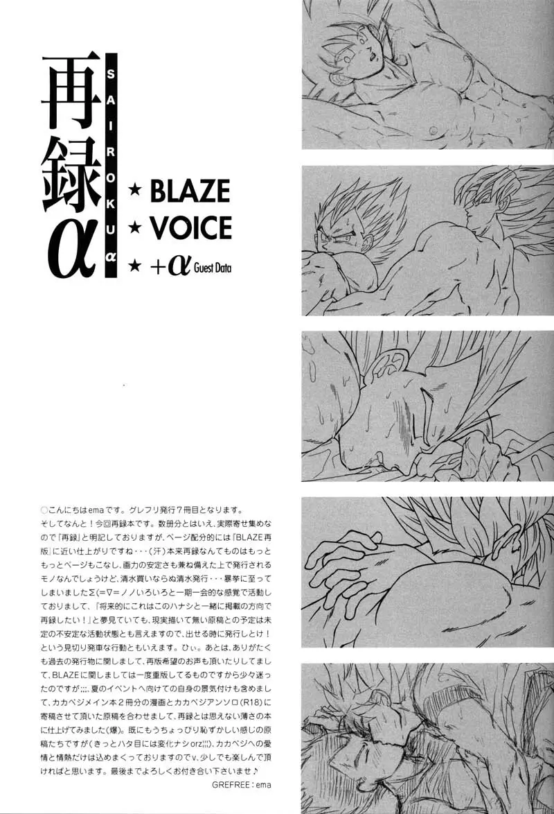 Sairokua 19ページ