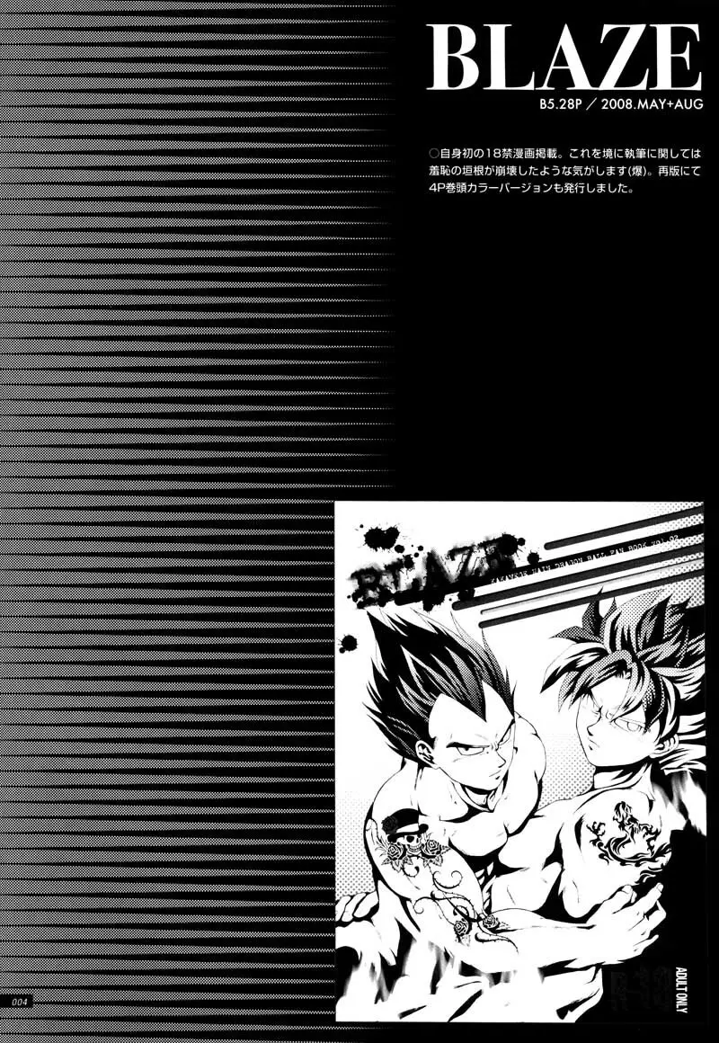 Sairokua 2ページ