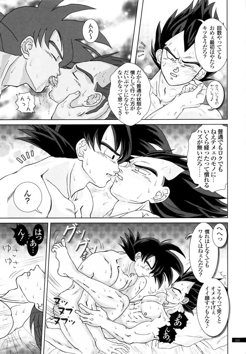 Sairokua 29ページ