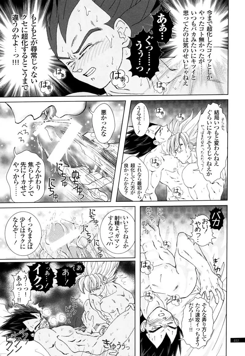 Sairokua 31ページ