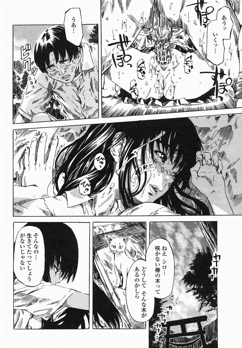 COMIC ヒメザクラ 2005年4月号 vol.4 34ページ