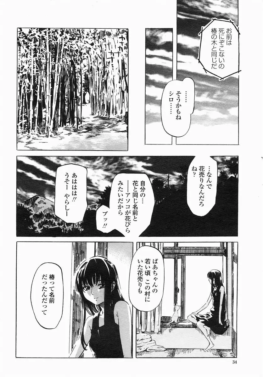 COMIC ヒメザクラ 2005年4月号 vol.4 36ページ