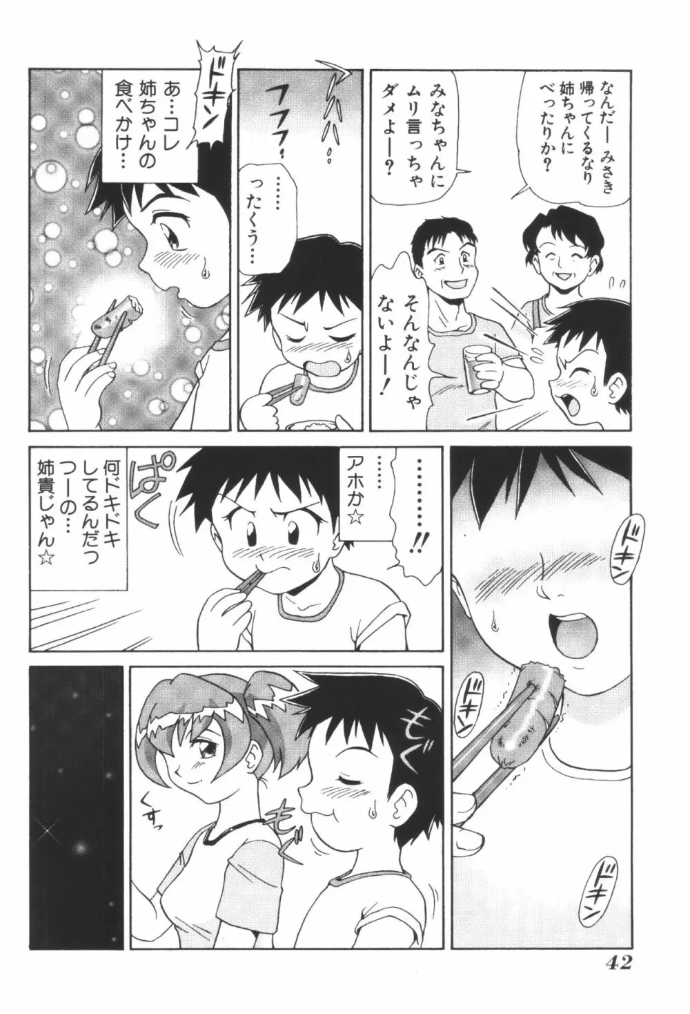 姉弟恋歌2 44ページ