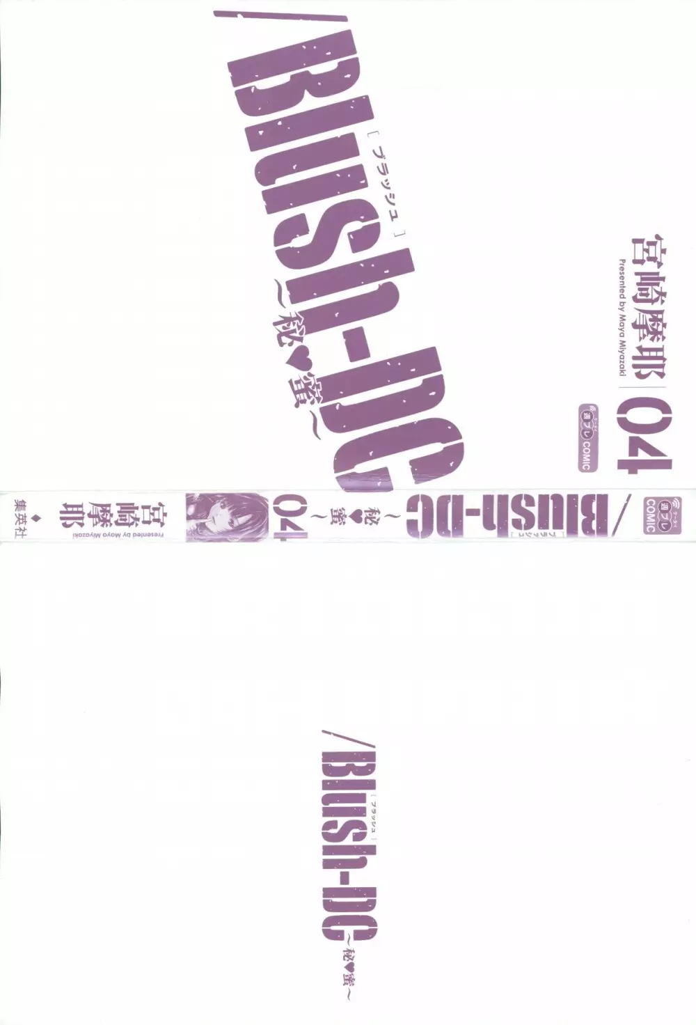 Blush-DC 〜秘・蜜〜 Vol.4 2ページ