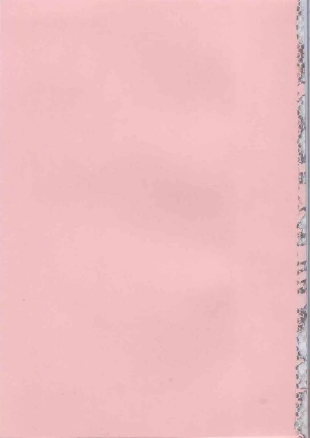 ピンクの穴 193ページ